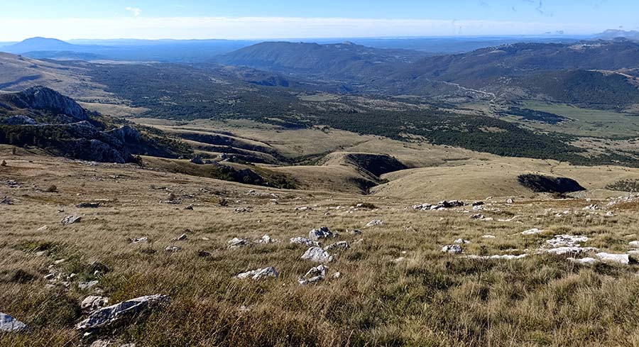 zrmanja