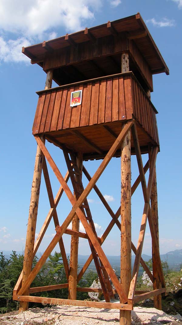 čeka