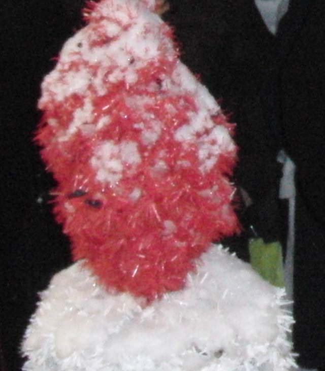 &nbsp