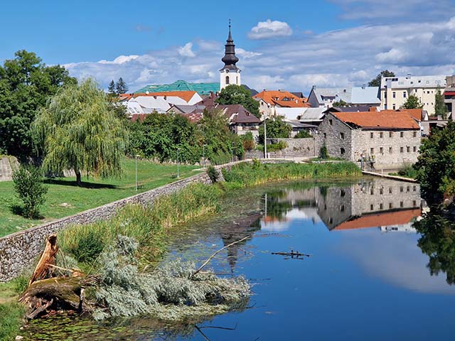 Nova gospićka veduta sa srušenom starom vrbom                                                                                                                                                                                                             